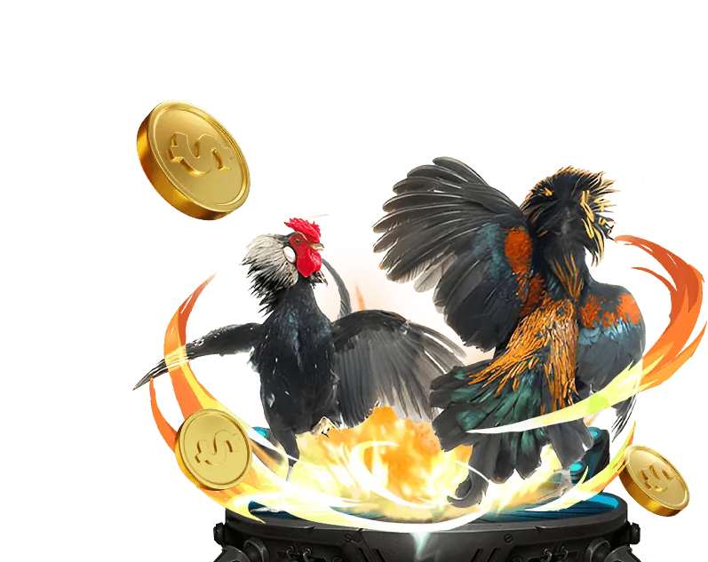 Luật Chơi Gà Đá Thomo: Điều Cần Biết